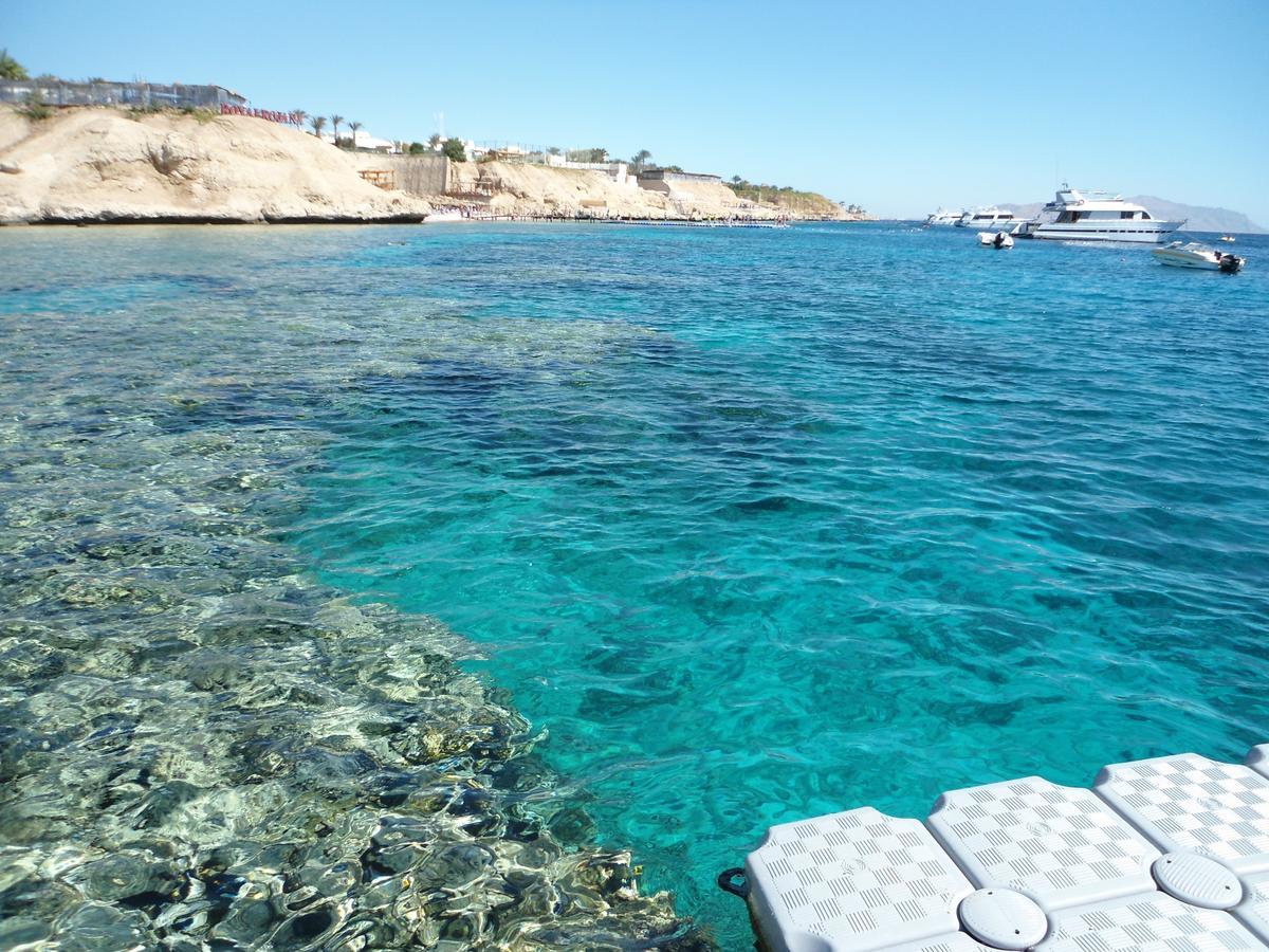 Sharks Bay Oasis Apartment Szarm el-Szejk Zewnętrze zdjęcie