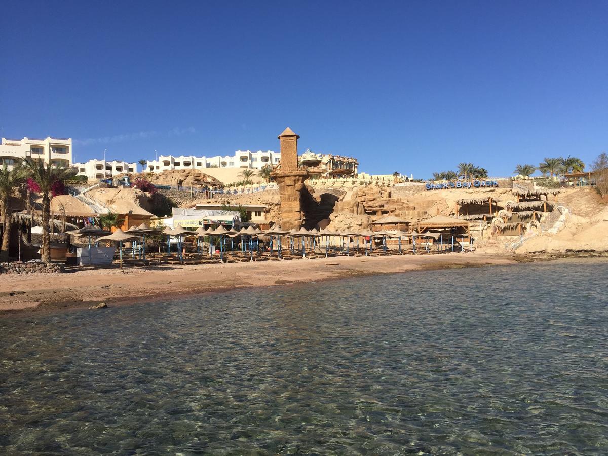 Sharks Bay Oasis Apartment Szarm el-Szejk Zewnętrze zdjęcie