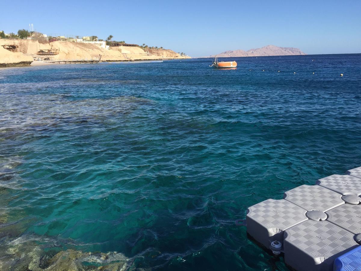 Sharks Bay Oasis Apartment Szarm el-Szejk Zewnętrze zdjęcie