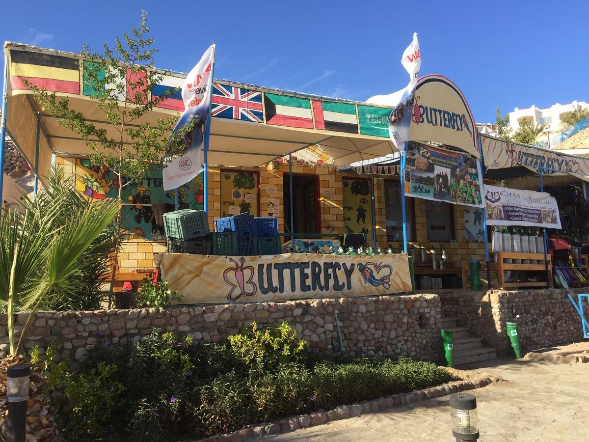 Sharks Bay Oasis Apartment Szarm el-Szejk Zewnętrze zdjęcie