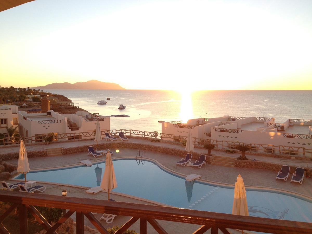 Sharks Bay Oasis Apartment Szarm el-Szejk Zewnętrze zdjęcie
