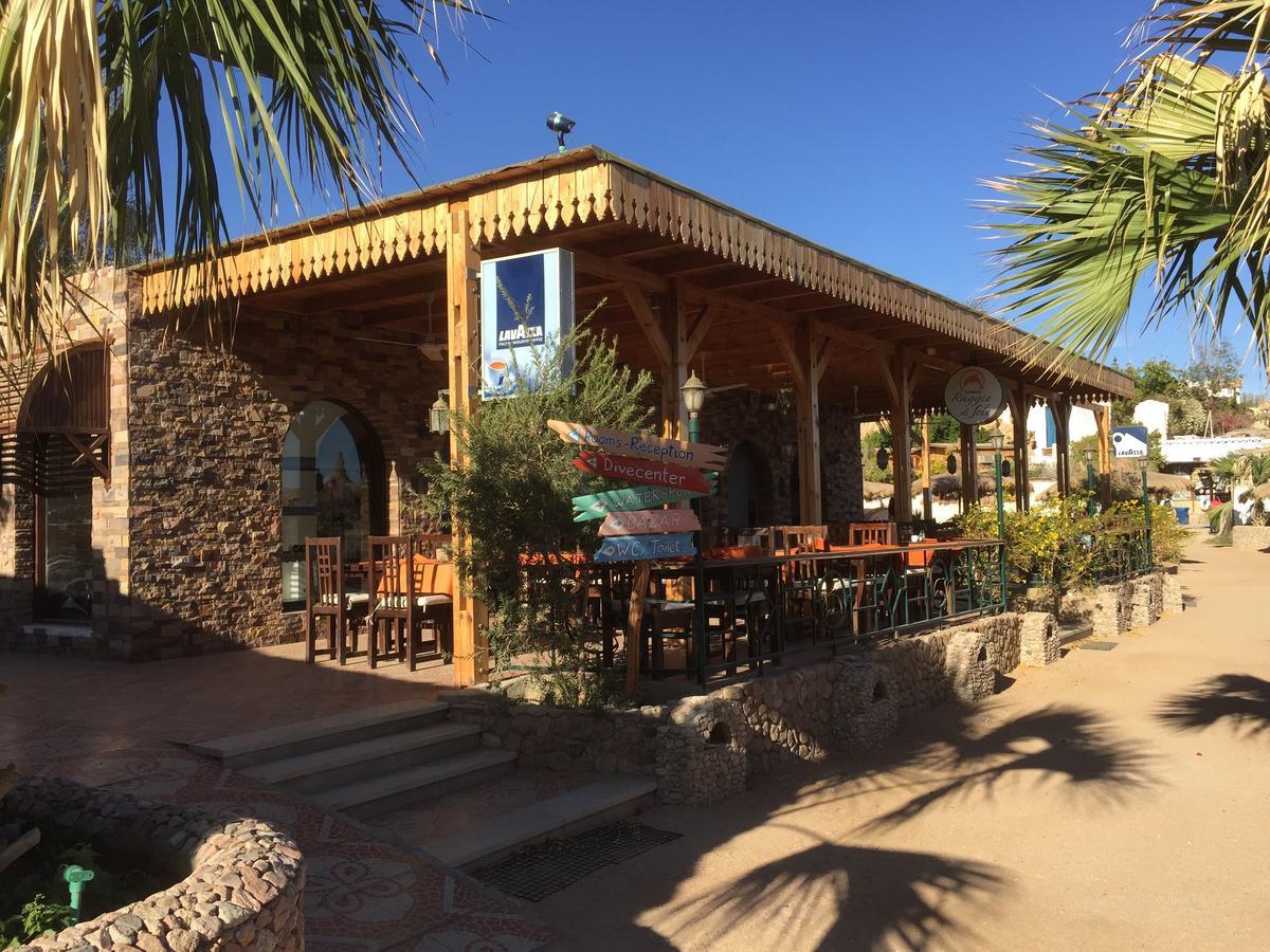Sharks Bay Oasis Apartment Szarm el-Szejk Zewnętrze zdjęcie